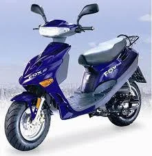 Adly Fox 50 (4T)