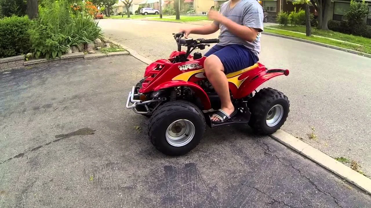E-Ton Viper 90