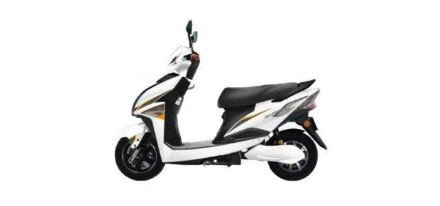 Techo Raptor 2020