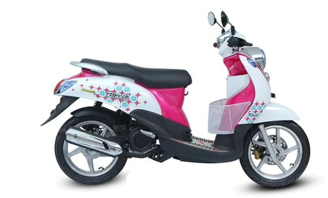Demak Rino S