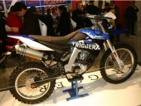 Generic Trigger X 125 2010