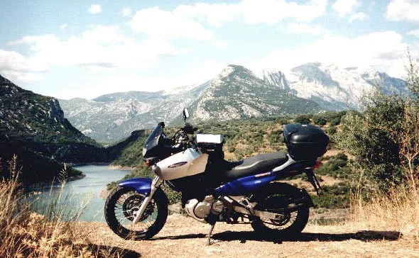 Suzuki XF 650 Freewind 2003