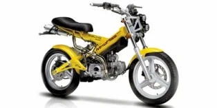 Sachs MadAss 125