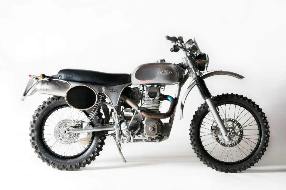 Borile B500Ricki 2013