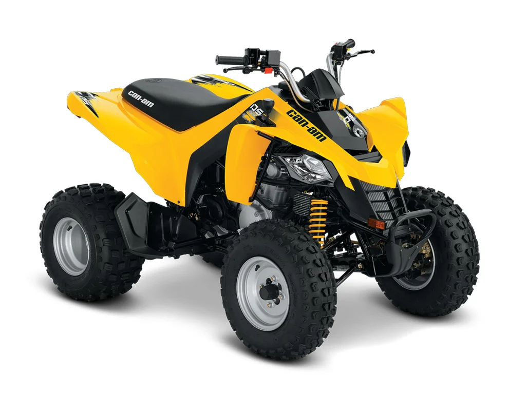 Can-Am DS 250 2014