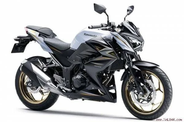 Kawasaki Z300 Special Edition