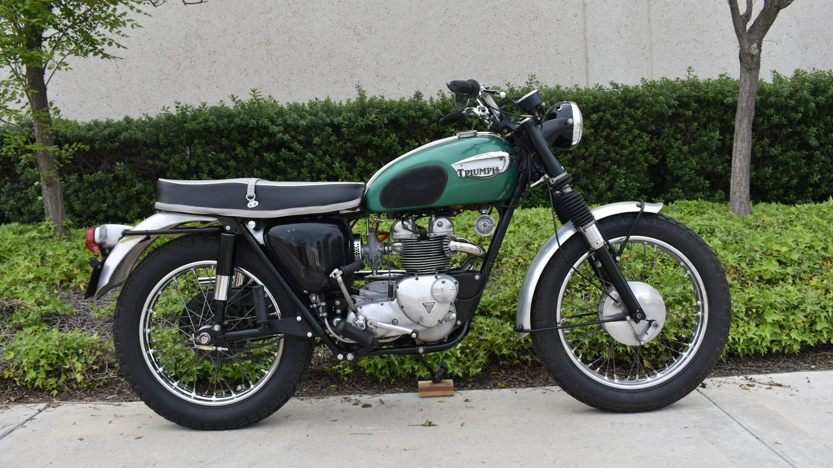 Triumph T100C