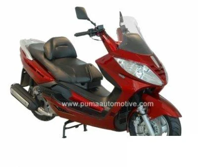 Puma Navona 250
