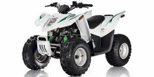 Arctic Cat 90 DVX Youth 2010