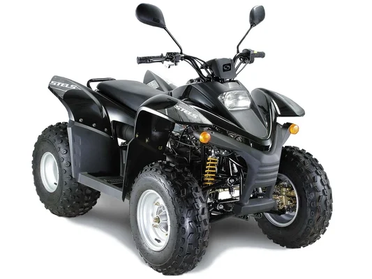 Stels 100RS
