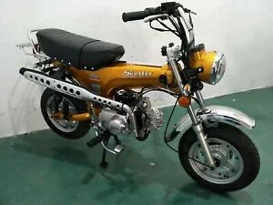 Skyteam Skymax 125