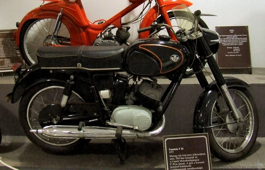 Pannonia P20