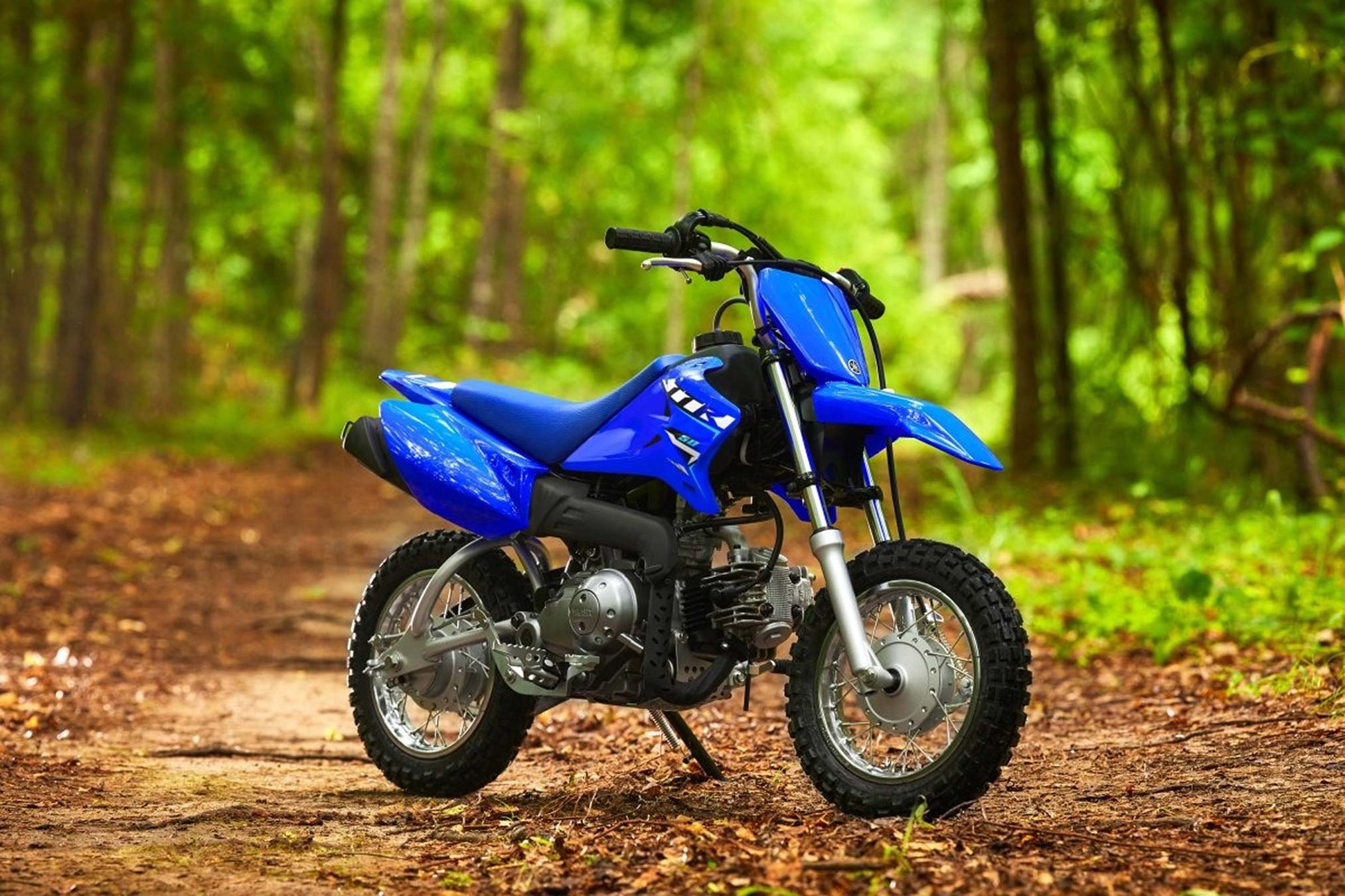 Yamaha TT-R50E 2026